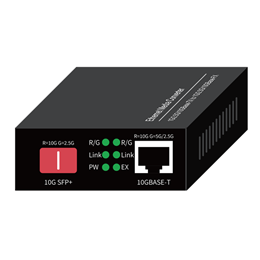 10G Media Converter
